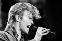 Den brittiske artisten David Bowie avled tidigare i år.