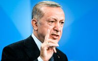 Turkiets president Recep Tayyip Erdogan anklagar Sverige för att ha varit en vagga för terrorism.