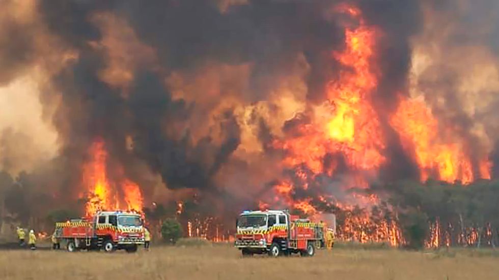 En av bränderna i delstaten New South Wales. Bild från den 30 december i fjol.