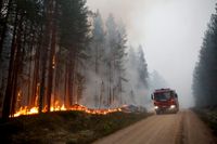 Bättre beredskap behövs när skogen brinner. 