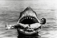 De tre mekaniska hajarna som används i filmen kallades under inspelningen för Bruce efter Spielbergs advokat. Den första hajen ska ha sjösatts utan att ha testats innan och enligt The Guardian sjönk den till botten när man skulle filma.