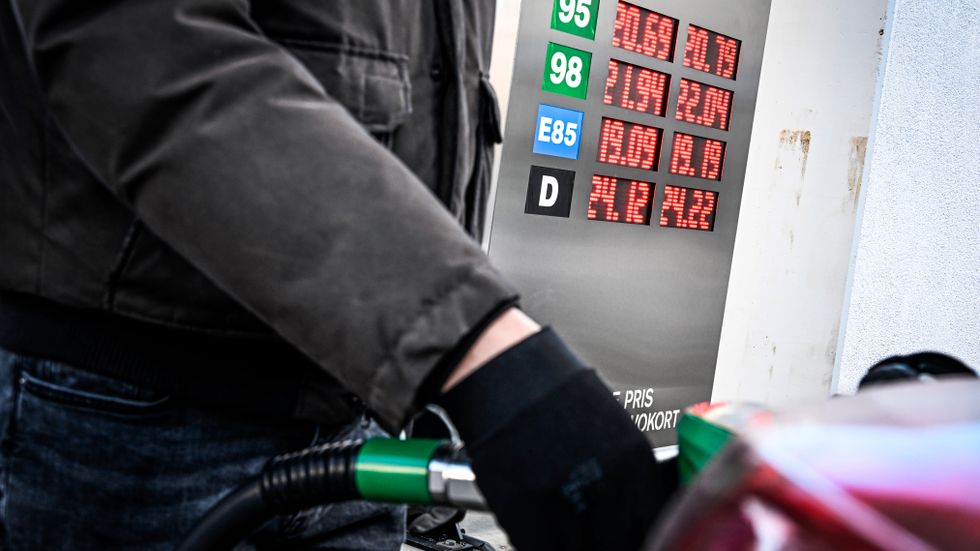 En lägre andel biobränslen kommer att pressa priset på bensin och diesel. Men det kan bli dyrt senare, visar en ny rapport.