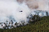 Skogsbränder, som denna i tyska Dahme-Spreewald i juni, kommer att bli en vanligare syn i Europa varnar Världsnaturfonden. Arkivbild.