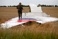 En prorysk separatist i Donetsk-regionen konstaterar att det inte blev mycket kvar av det civila planer MH-17 och dess 298 passagerare efter nedskjutningen i juli 2014.