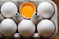 Ägg från äggproducenten CA Cedergrens har lett till att 48 personer har drabbats av salmonella.