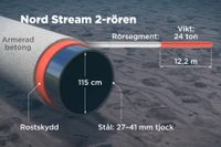 Bilden visar hur rören i Nord Stream 2 är konstruerade.