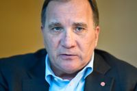 Statsminister Stefan Löfven vill att Sverige ska delta i utredningen om nedskjutningen.