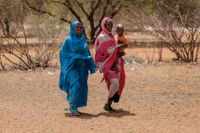 Kvinnor på väg till marknaden i Wagalla i norra Kenya. 