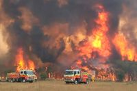 De omfattande bränderna i Australien förra säsongen orsakade stor förödelse. Bilden från slutet av december 2019.