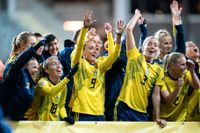 Sverige jublar över EM-avancemanget efter Islandsmatchen.