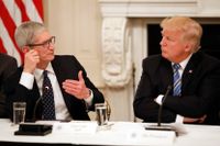 Apples vd Tim Cook, här till vänster, distanserar sig allt mer från Donald Trump. Nu ska bolaget donera två miljoner dollar till några av de grupper som stod upp för mänskliga rättigheter i Charlottesville. Arkivbild
