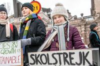 ”Om ett hus brinner sätter man sig inte och pratat om att vi kanske kan göra si eller så, då släcker man elden och springer ut och ringer 112. Partierna pratar om andra saker”, säger Greta Thunberg till SvD.
