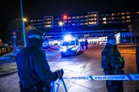 ”Det som sticker ut i Sverige är just gängstrukturerna och det utbredda dödliga våldet”, säger experten. 