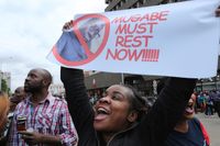 En av demonstranterna på gatorna i Zimbabwes huvudstad Harare som kräver att Robert Mugabe lämnar makten.