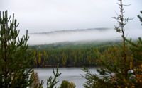 25 skogar med höga naturvärden i Jokkmokks kommun får nu långsiktigt skydd i nya avtal. Arkivbild.