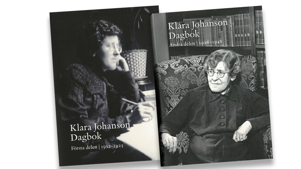 Klara Johansons dagböcker är en unik källa till ett kulturellt kvinnonätverk under en omvälvande period för kvinnans ställning.