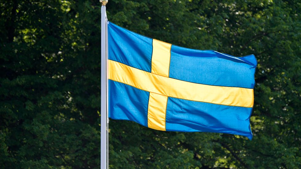 Vilka krafter stödjer Sverige utomlands?