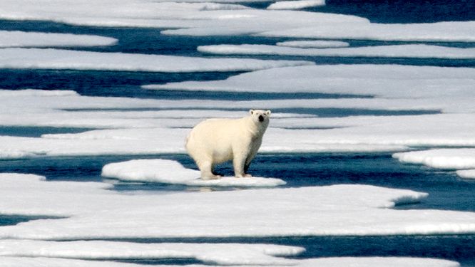 Arktis värms upp fyra gånger fortare
