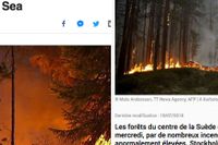 Skogsbränderna i Sverige har blivit en världsnyhet. 