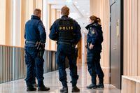 En 31-årig kvinna är åtalad för grov egenmäktighet med barn. Dom väntas i Lunds tingsrätt den 8 mars.