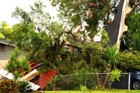 Ett hus har förstörts av ett omkullblåst träd i Brownsville i den amerikanska delstaten Texas.