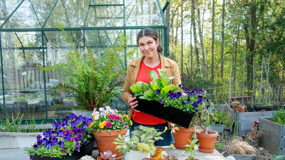 Jessica Lyon, som bor söder om Stockholm, har gått från att ha 300 plantor i sitt studentrum till att försörja sig på hållbar odling.