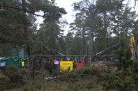 På en bild från Greenpeace stoppar några av deras medlemmar skogsröjning på norra Gotland. Bild från 2012.