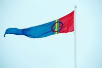 Sametinget vill att en bred parlamentarisk utredning ser över lagstiftningen i samiska rättsfrågor. Arkivbild.
