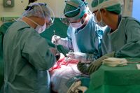 Det råder brist på donerade kroppar, som bland annat används för att kirurger ska kunna träna upp sina färdigheter. Arkivbild.