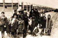 Fotografi från koncentrationslägret Auschwitz-Birkenau, juni 1944.
