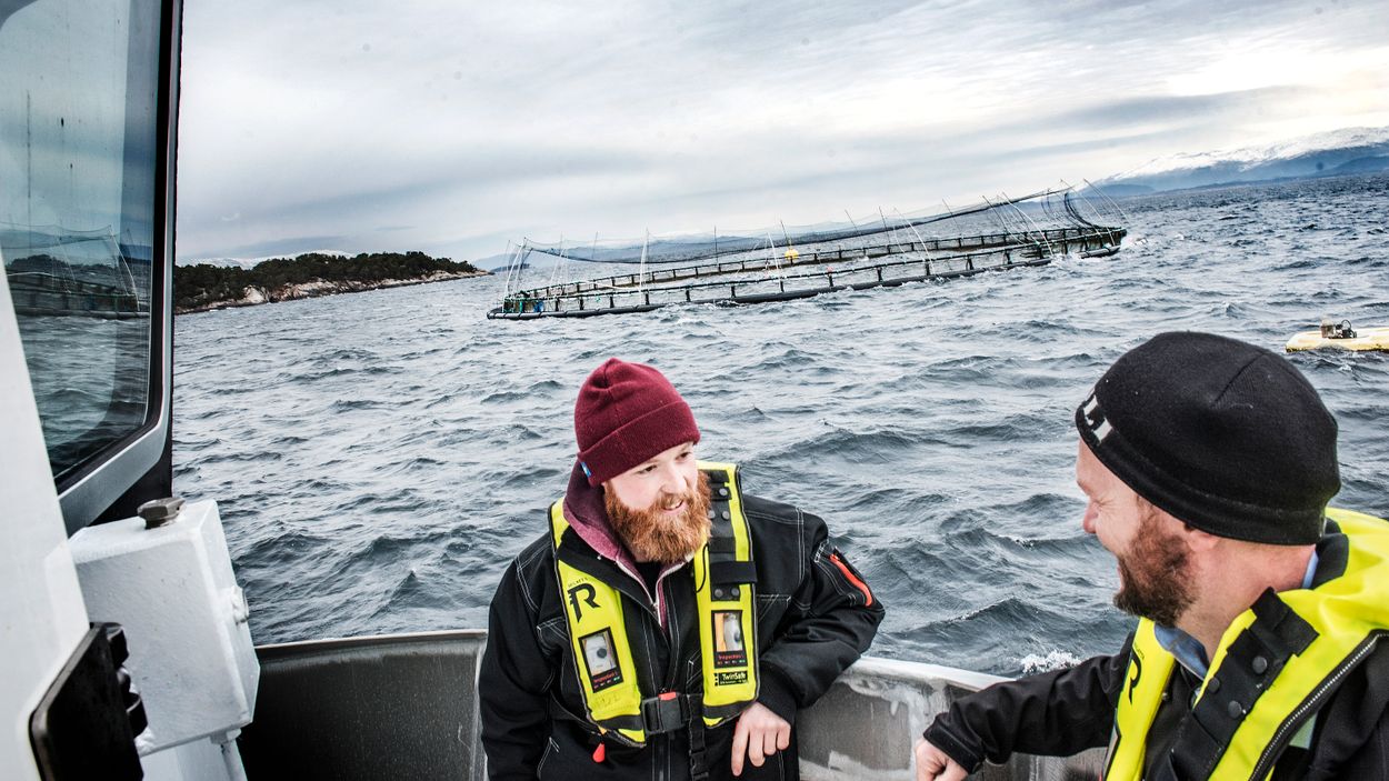 Simen Kaldefoss och Simon Økland är på väg ut med båten Britt Iren till en av Bremnes Seashores laxodlingar. Vid odlingen finns också ett annat fartyg som håller koll på laxarna och att de äter som de ska.