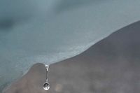 En droppe faller från ett isberg i Arktis. Arkivbild.