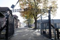 Förra året reste runt 44 000 svenskar till Auschwitz. Arkivbild.