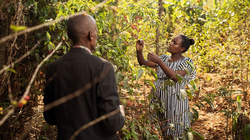 Hundatu Ayana i Etiopien är en av kvinnorna som fått sin utbildning finansierad av Nespresso och som nu hjälper till att lära ut moderna odlingstekniker.