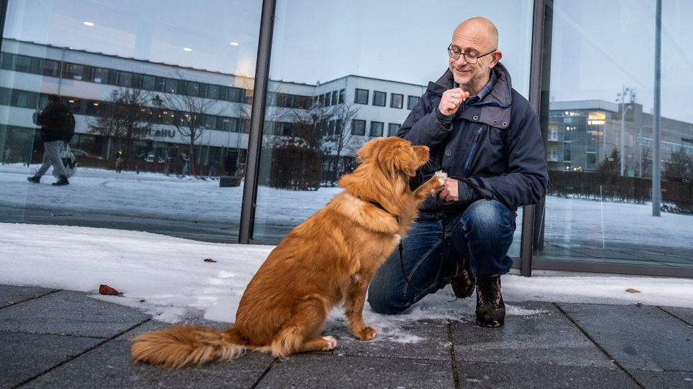 Veterinären Johan Lindsjö med sin tollare-tik Halen i Uppsala. 