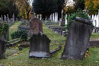 Kyrkogården City of London Cemetery & Crematorium i östra London.