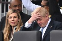 Boris Johnson anklagas för att ha beskrivit sin fru Carrie Johnson som  ”omöjlig, galen och svårkontrollerad”.
