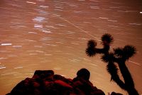 Kometer sågs länge som dåliga omen. Här bild från när en meteor syns på himlavalvet i nationalparken Joshua Tree i Kalifornien. 