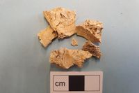9 000 år gamla mänskliga kraniedelar har hittats vid markarbete i Skattungbyn i Dalarna.