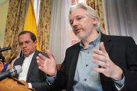 De rättsliga turerna kring Julian Assange tros ha inspirerat till en överbelastningsattack i oktober 2012.