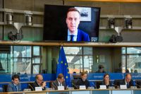 Aleksej Navalnyj under ett tal via länk till EU-parlamentets ledamöter i Bryssel 2018. Arkivbild.
