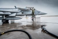 Uppgifter om flygflottiljerna i F17 i Ronneby, F7 i Såtenäs och F21 i Luleå fanns enligt Transportstyrelsen i det outsourcade materialet. På bilden en Jas Gripen plan på F/.