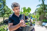 Elias Maalouf driver en av Libanons minsta vingårdar. I början var vinet odrickbart men för varje år som gått har smaken förbättrats.