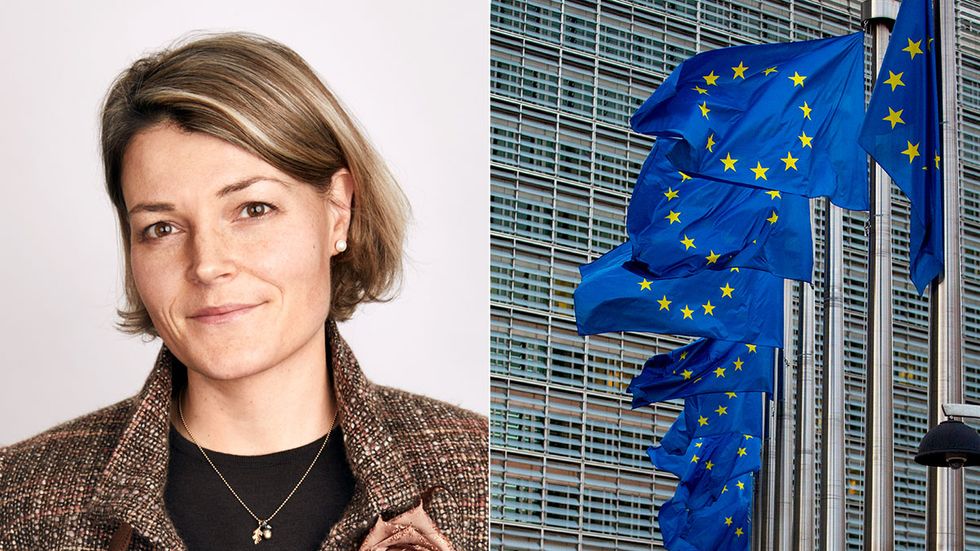 Gemensam upplåning leder till ett tvådelat EU, en del som lånar och en del som garanterar lånen, skriver nationalekonomen Alexandra Leonhard.