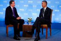 Storbritanniens premiärminister David Cameron och USA:s president Barack Obama på Natomötet i Wales.