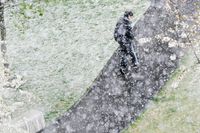 En man värjer sig mot snön som faller mellan blommande träd och en grön gräsmatta i Kista i västra Stockholm på tisdagsmorgonen.