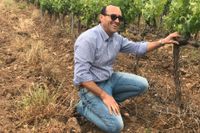 Vingården är viktig men även exponeringen av druvan, menar Filippo Buttafuoco på Siciliens största vinkooperativ.