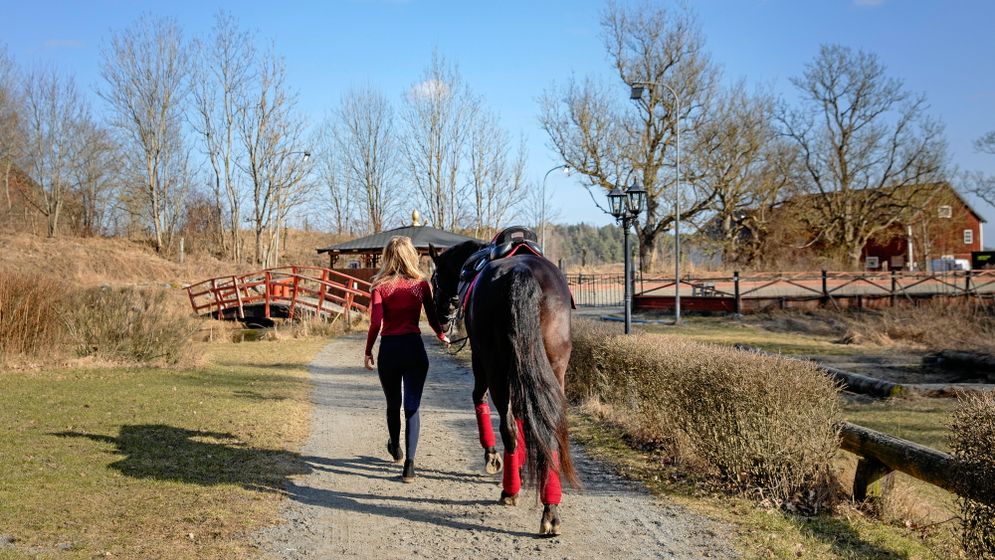 Ett signum för Equestrian Stockholm är att stötta unga tjejer inom ridsporten.