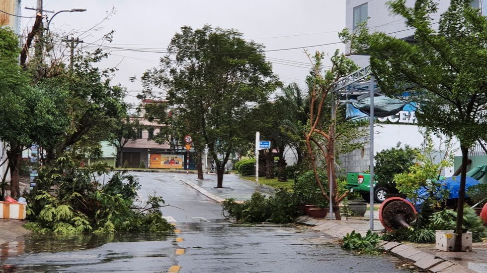 Tyfonen Molaves kraftiga vindar river ned träd och sliter av hustak. Bilden är tagen i Danang på onsdagen.