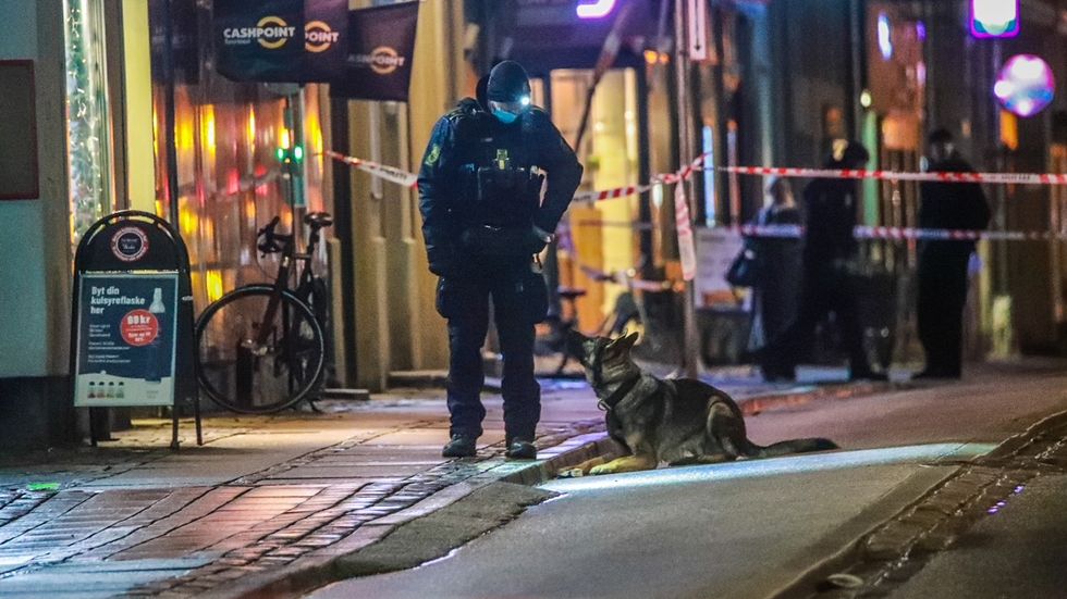 En svensk man sköts ihjäl i Vesterbro i Köpenhamn på fredagskvällen.